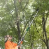 SANTINO 7m Telescopic High Branch Pruning Shears with Saw & Fruit Picker