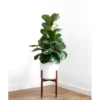 Nanhayu Sapota Standing Flower Pot, Walnut