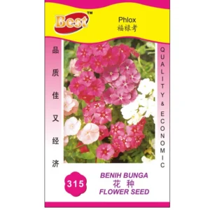 Phlox Flower Seeds