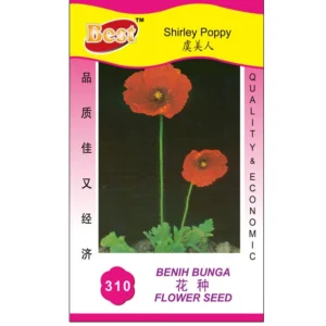 Shirley Poppy Flower Seeds