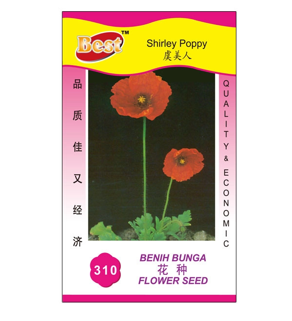 Shirley Poppy Flower Seeds