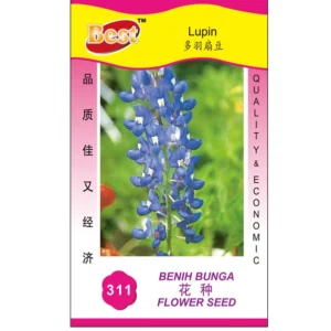 Lupin Flower Seeds