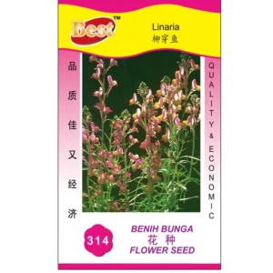 High-Quality Linaria Flower Seeds