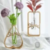 Modern Transparent Glass Vase for Hydroponic Plants