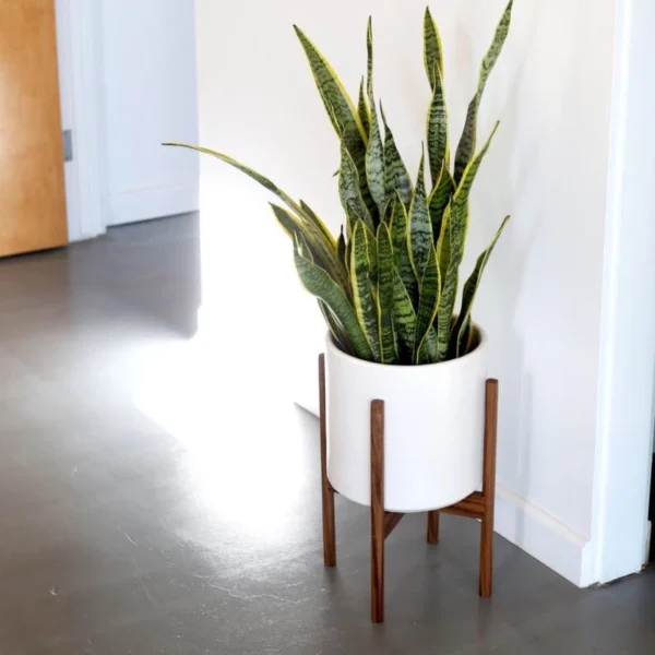 Nanhayu Sapota Standing Flower Pot, Walnut