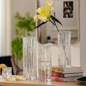 MONN European Style Clear Flower Vase, 25cm