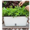 Locaupin Self-Watering Planter Pots, Multicolor