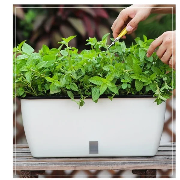 Locaupin Self-Watering Planter Pots, Multicolor