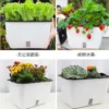 Locaupin Self-Watering Planter Pots, Multicolor
