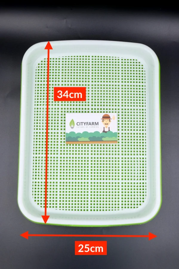 Nursery Seedling Tray