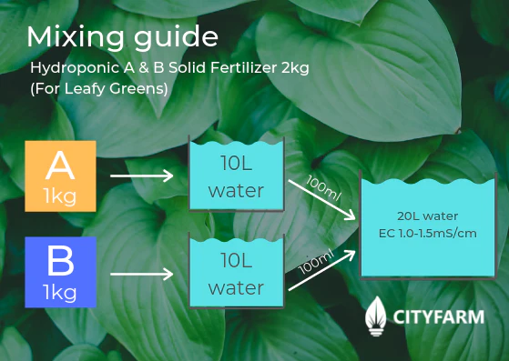2kg Hydroponics A & B Solid Fertilizer for Leafy Greens