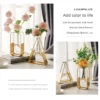 Modern Transparent Glass Vase for Hydroponic Plants