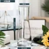 Simple Transparent Glass Flower Vase