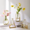 Modern Transparent Glass Vase for Hydroponic Plants