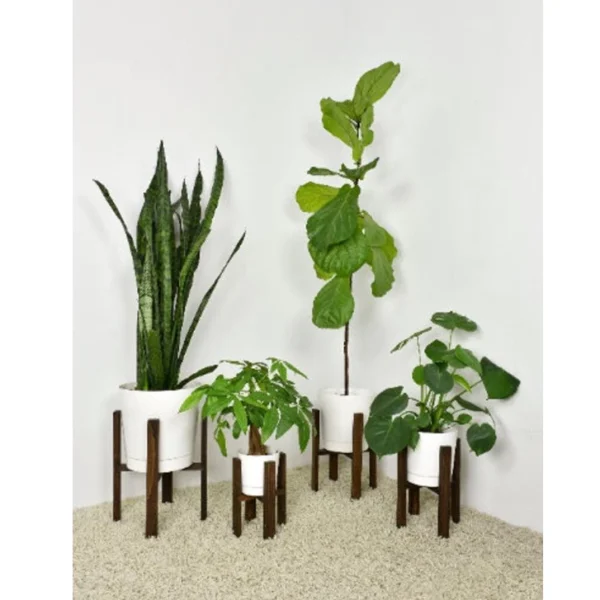 Nanhayu Sapota Standing Flower Pot, Walnut