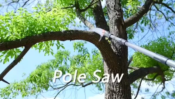 Telescopic High Branch Pruning Shears & Fruit Picker