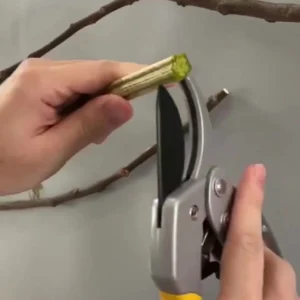 Professional Garden Pruning Shears with Spring Handle for Grafting & Trimming