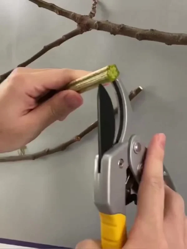 Professional Garden Pruning Shears with Spring Handle for Grafting & Trimming