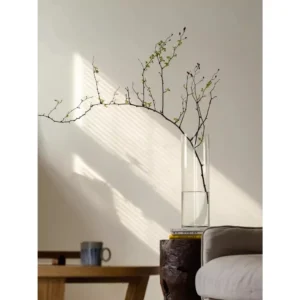 Clear Glass Cylinder Vase & Floating Candle Holder