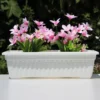 Thickened Rectangular Plastic Flower Pots for Outdoor Gardening