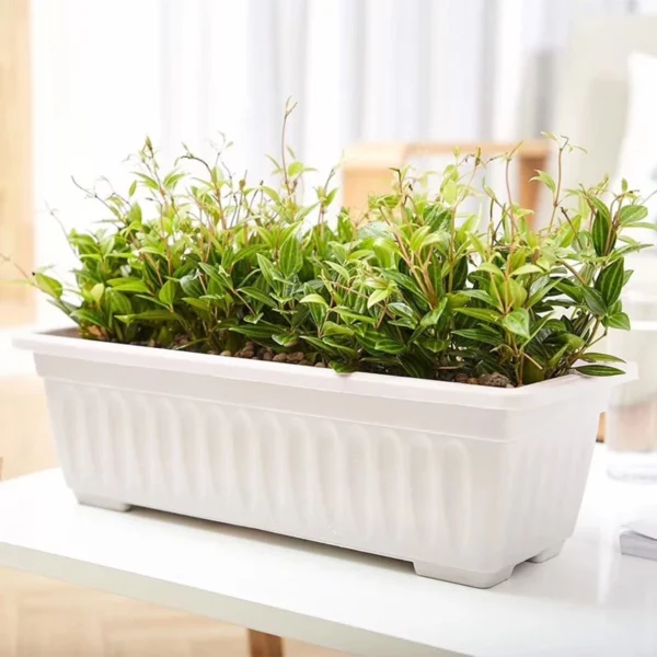 Thickened Rectangular Plastic Flower Pots for Outdoor Gardening
