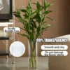 Clear Acrylic Flower Vase for Home Decor & Hydroponic Plants