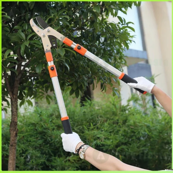 Telescopic Anvil Pruning Shears for Tree Branch Cutting