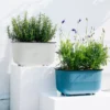 sg-11134201-7rdvu-mc6fa0pd63tk5e.webp Rectangular Nordic Self-Watering Planting Pot