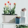 sg-11134201-7rdw1-mc6fa1ba8lab3f.webp Rectangular Nordic Self-Watering Planting Pot
