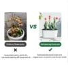 sg-11134201-7rdy8-mc6fa3w8hz2b46.webp Rectangular Nordic Self-Watering Planting Pot