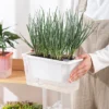 Self-Watering Flower Pot for Easy Plant Care