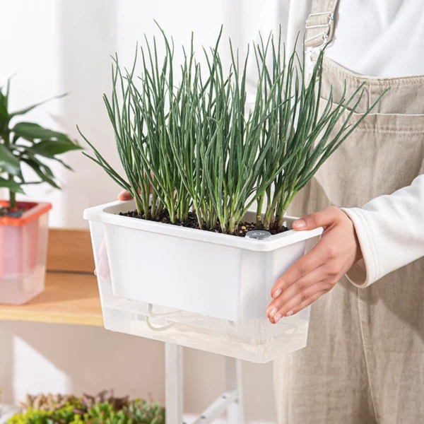 Self-Watering Flower Pot for Easy Plant Care