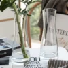 Simple Transparent Glass Flower Vase