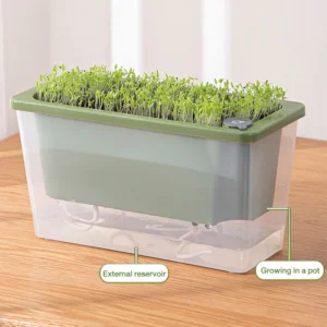 Self-Watering Flower Pot for Easy Plant Care